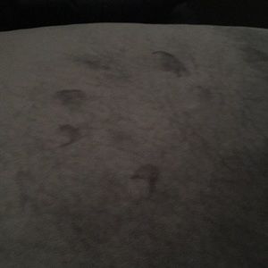 Meet your Posher, Kamkam